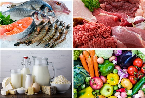 魚、肉、果物、アイスクリームなどすべての食品、加工食品、冷凍食品を安全に保存できます。